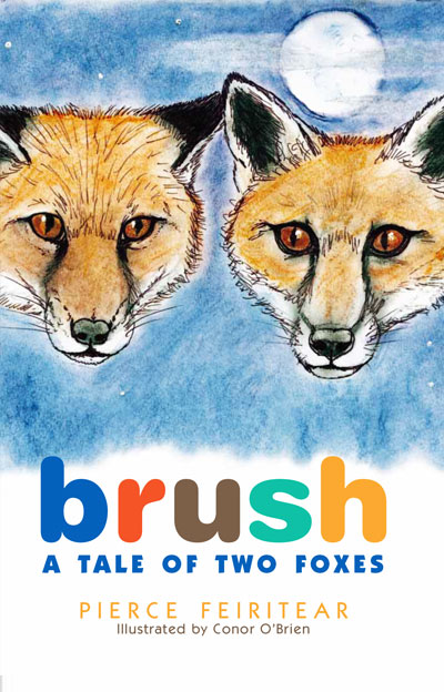 brush-a-tale-of-two-foxes-irish-books-cover